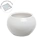 3.5 Inch Small Round Modern White Ceramic Succulent Planter Pot - MyGift