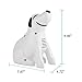 RoyAroma Personal Cool Mist Inhaler Compressor System for Child Adult-120V/60HZ