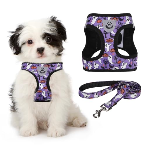 KOOLTAIL Halloween Dog Harness Leash Set
