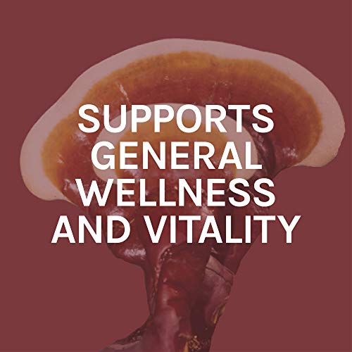 Host-Defense-Reishi-Capsules-Supports-General-Wellness-and-Vitality-Daily-Mushroom-Mycelium-Supplement-USDA-Organic-Gluten-Free-60-Vegetarian-Capsules-30-Servings