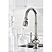 KOHLER Artifacts Single-Hole Kitchen Sink Faucet with 16
