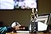BIG Bobblehead Trophies Football Trophy Loser Bobblehead Toilet Bowl - 9.5 Inch