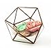Bella's garden Geometric Terrarium Container Desktop Planter for Succulent Fern Moss Air Plants Holder Miniature Outdoor Fairy Garden Gift Wedding Ring Glass Box (Small, Rose Gold)
