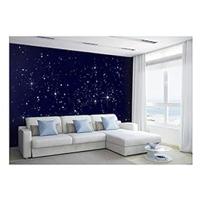 Wallpaper Large Wall Mural Series ( Artwork 26)