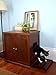 THE REFINED FELINE Cat Litter Box Enclosure Cabinet, Modern, Mahogany Brown, Adjustable Levelers, Large, Hidden Litter Cat Furniture with Drawer