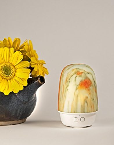 Mini Essential Oil Diffuser with LED Lights