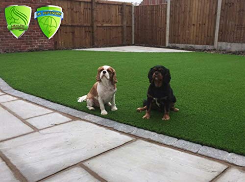MTBRO Artificial Grass, Professional Outdoor Grass Mat for Dogs, Realistic Artificial Turf Rug for Patio, Blade Height 1.5 Inch,100 Ounce/Sq.Yd,3 Feet X 5 Feet - Thumbnail 5