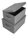 Bigso Soft Foldable Polyester Storage Box with Lid | Fabric Storage Bin with Lid and Handles for Closets and Rooms | Collapsible Storage Box for Clothes and More | 13.4″ x 17.7″ x 9.8” | Large | Grey