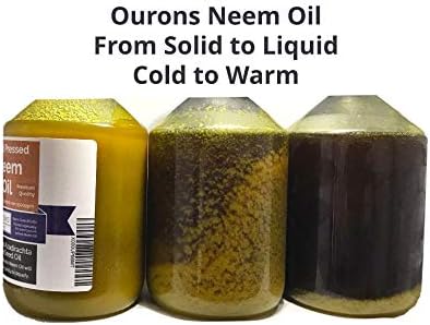 Neem Oil - 500ml Pure Cold Pressed Premium Seed Oil From India, 500 ml (Pack of 1) - Image 5