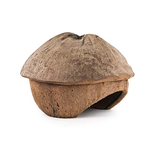 andwe Coconut Hut Small Animal Cage Habitat Decor for Hamster Mice Gerbils - Pocket Pet Coco Original House