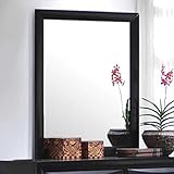 Coaster Home Furnishings Briana Vertical Mirror, Black