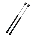 ARANA 2 Pcs Hood Lift Supports Struts Springs Shocks Dampers Compatible with 2005-2010 Chrysler 300, Compatible with 2005-2010 Challenger/Charger/Magnum 6303 PM1008 SG414051