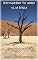 Livro Rediscovering the World: Sul da África (Relatos de viagem)