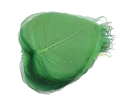 Dark Green 5 Inch Skeleton Leaves 100 pcs Sacred Fig Ficus Religiosa Flower Making Floral Scrapbook Craft Wedding Card