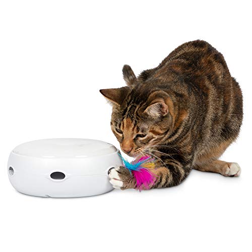PetFusion Ambush Interactive Cat Toys for Indoor Cats New & Improved Cat Feather Toys (Quiet 3