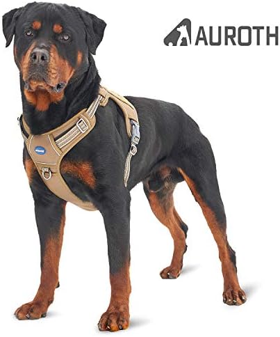 walkright control dog harness