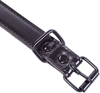 Bondage Masters Double Penis Mouth and Silicone Extended Pecker Gag - Image 4