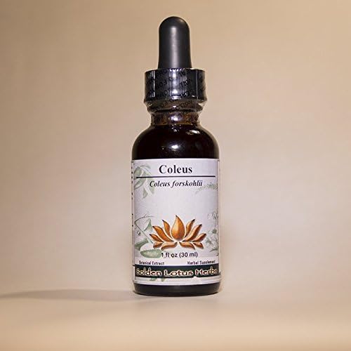 Wormwood (Sweet Annie) Concentrate - Organic - 1 Fluid Oz.