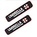 2pcs RESIDENT EVIL UMBRELLA CORPORATION 3D PVC ARMY MORALE CHEST RUBBER VELCRO PATCH