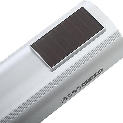 4 WALI+Simulated+Surveillance+Security+SOLTC+S4