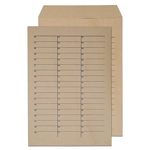 Blake Purely Everyday C4 324 x 229 mm 90 gsm Pocket Internal Mail Envelopes (13941INT) Manilla - Pack of 250