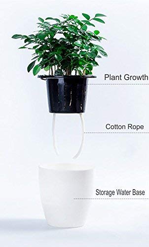 Self Watering Plant Pots Multi Colour Buy Online In Bangladesh At Desertcart