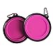 Popetz Collapsible Pet Bowl, Portable Dog Travel Bowls for Small and Medium Dogs and Cats,13 oz (Small, Pink)