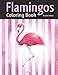 Flamingos Coloring Book: Romantic Decorative Doodles and Realistic Sketches of These Tropical Birds by Rachel Mintz