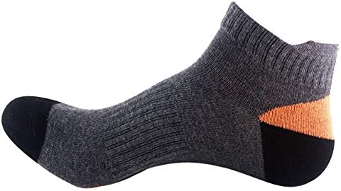 Men's 5-Pack Classics No Show Socks