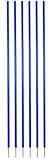 Champion Sports Coaching Sticks, Blue