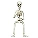 Colonel Pickles Novelties Poseable Skeleton Figure 19 Inch for Model Or Halloween Decoration - Multiple Custom Pose Positions