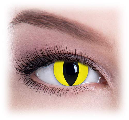 Women Multicolor Cute Charm and Attractive Eye Accessories Cosmetic Makeup Eye Shadow - Yellow Cat with Contact Lens Case By Dress You Up TM - Thumbnail 3