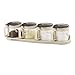 TENTA TENTA KITCHEN Gourmet Seasoning Box with Serving Spoons, Spice Jar Set Condiment Cruet Bottle, Kitchen Supplies,Nice Design for Kitchen (glass)
