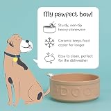 Mason Cash Cane Dog Bowl 15cm 700ml Stoneware Dishwasher Safe view 3