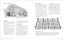 The Complete Guide to Restoring Your Soil: Improve