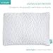 BLISSBURY SpineRight ​Adjustable Water Pillow with Ultra Soft White Cover, Bamboo and Polyester, Queen Size - ​Side​ ​Sleeper, Pregnancy, and Neck Support Pillows - Quilted, Premium, Luxurious Bedding