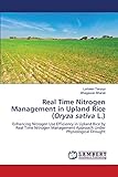 Real Time Nitrogen Management in Upland Rice