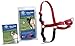 PetSafe Easy Walk Harness for Dogs - Pull-Free Walks - Patented Martingale Loop Design - Front Chest Leash Attachment - Breathable Harness Design - X-Large, Red/Black