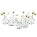 CHIVE ‘Loft’ Small Mini Flower Vases - Clear Glass Bud Vases, Set of 10 - Cute Vintage Rustic Centerpieces for Wedding, Events & Home - Premium Quality, Designed to Last
