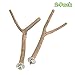 GNB PET 2pcs Bird Perch, Natural Y Shape Wooden Branch for Cage, Bird Parrot Natural Wood Fork Stand Perch Toy Birdcage Stands Pet Bird Toys, 11 Inches