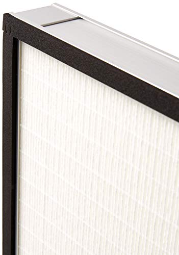 image for B-Air Scrubber Stage 2 HEPA Filter 2 Pack for Air Purifiers Negative A