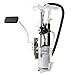 Delphi FG0860 Fuel Module