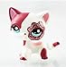 Littlest pet shop lps 2291 Animal Pet Cat Collection Child Girl Boy Figure Toy Loose Cute lps