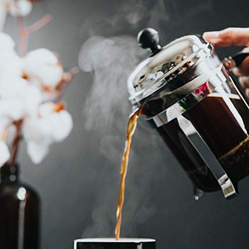 French Press Filter 12 Oz 6 Pack Universal Replacement Reusable