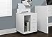 Monarch Specialties White Hollow-Core 2 Drawer Computer Stand on Castors