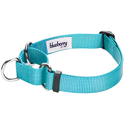 Blueberry Pet Essentials Martingale Safety Training Dog Collar