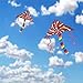 Colorful Kite for Kids and Adults, Great Beginner Kite Toy, Large and Easy Flyer, Summer Fun, Long Kite String and Extra Thick Quality, Outdoor Activities
