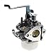 Carbhub 279-62364-20 Carburetor for Subaru Robin EX30 279-62364-20 279-62304-30 279-62304-40 279-62364-00 279-62364-10 Mikuni RGX4800 RGN5100 Stens Carb Replaces 058-161
