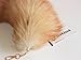 Fosrion Real Fox Tail Fur Handbag Charm Cosplay Toy with clasp keyChain and Hook (Golden)