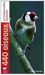 440 oiseaux